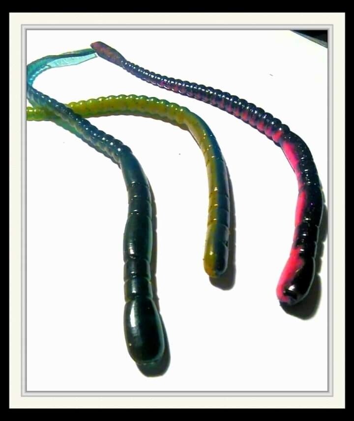 9 1/4&#39;&#39; worm