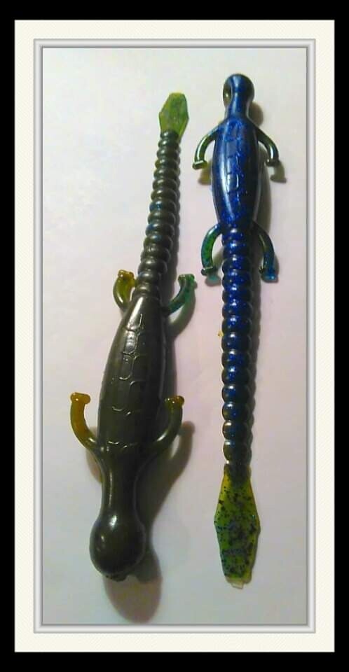 6&quot; lizards