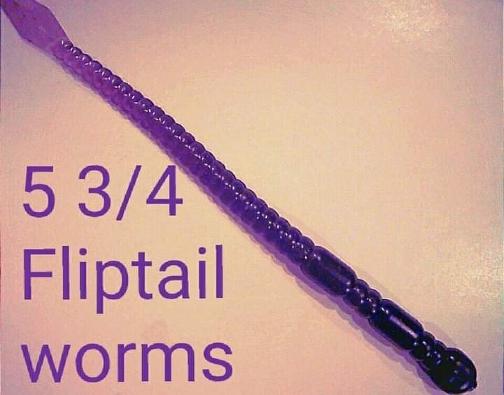 4&#39;&#39; Fliptail worm