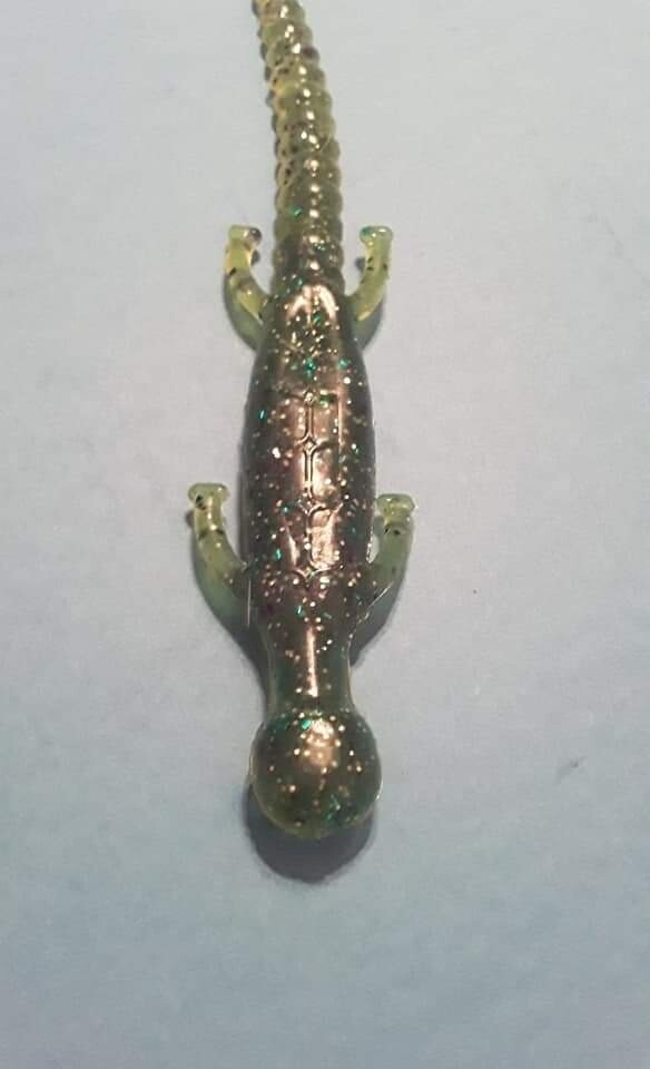 6&quot; lizards