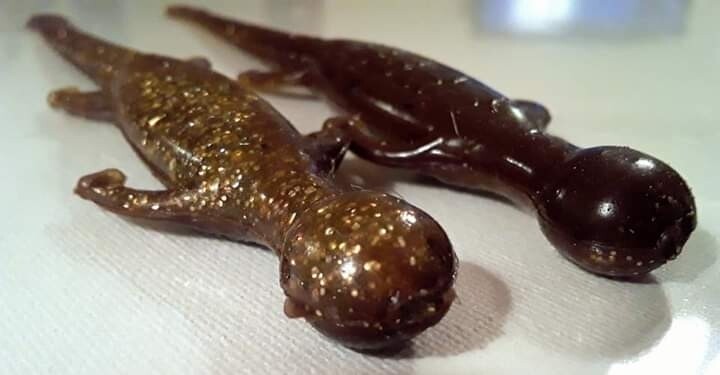 6&quot; lizards
