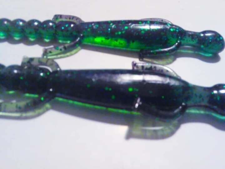 6&quot; lizards