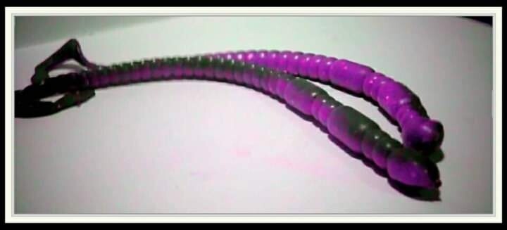 4&#39;&#39; Fliptail worm