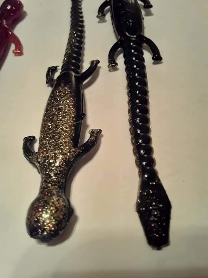 6&quot; lizards