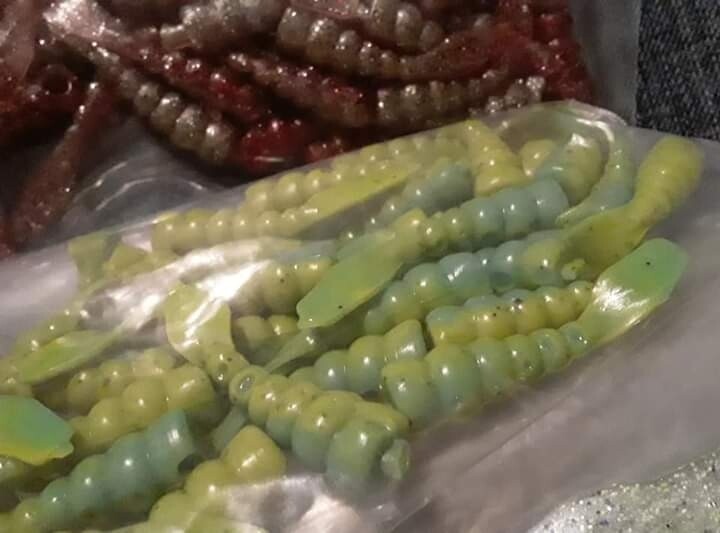 Fuddle Bugs