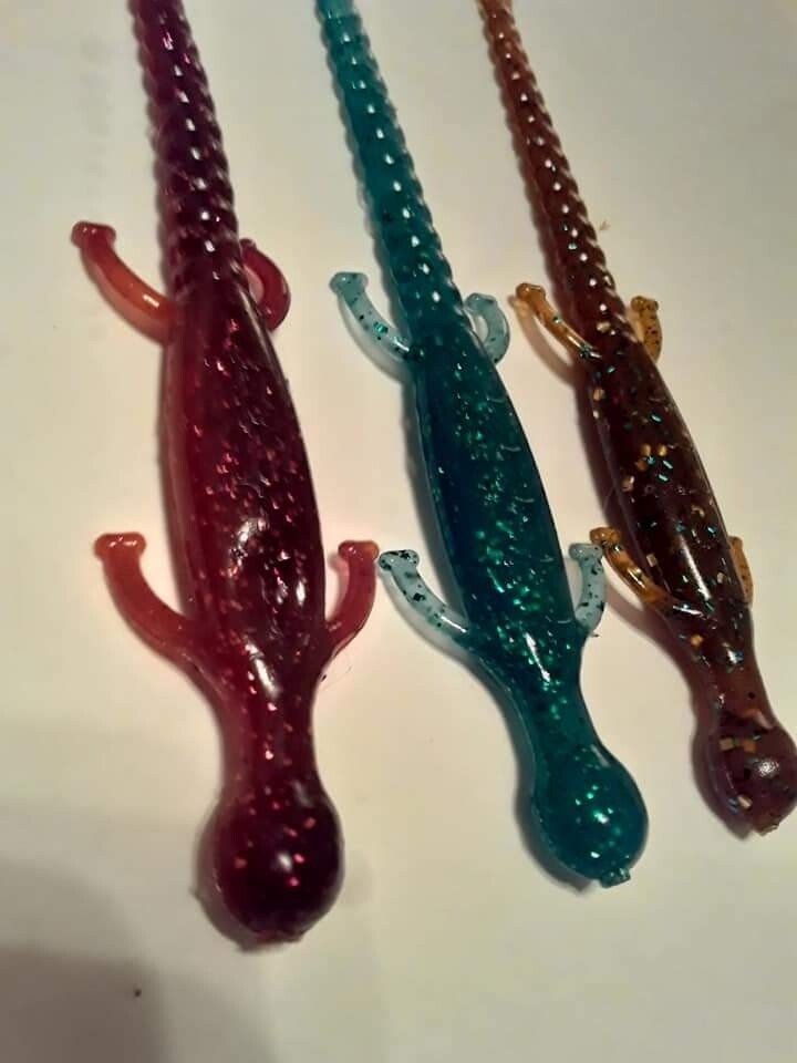 6&quot; lizards