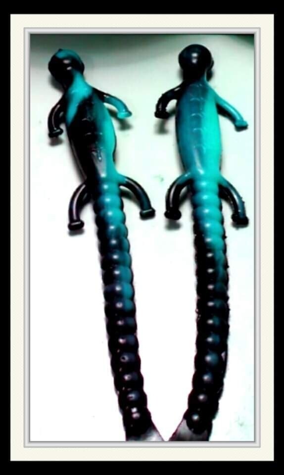6&quot; lizards