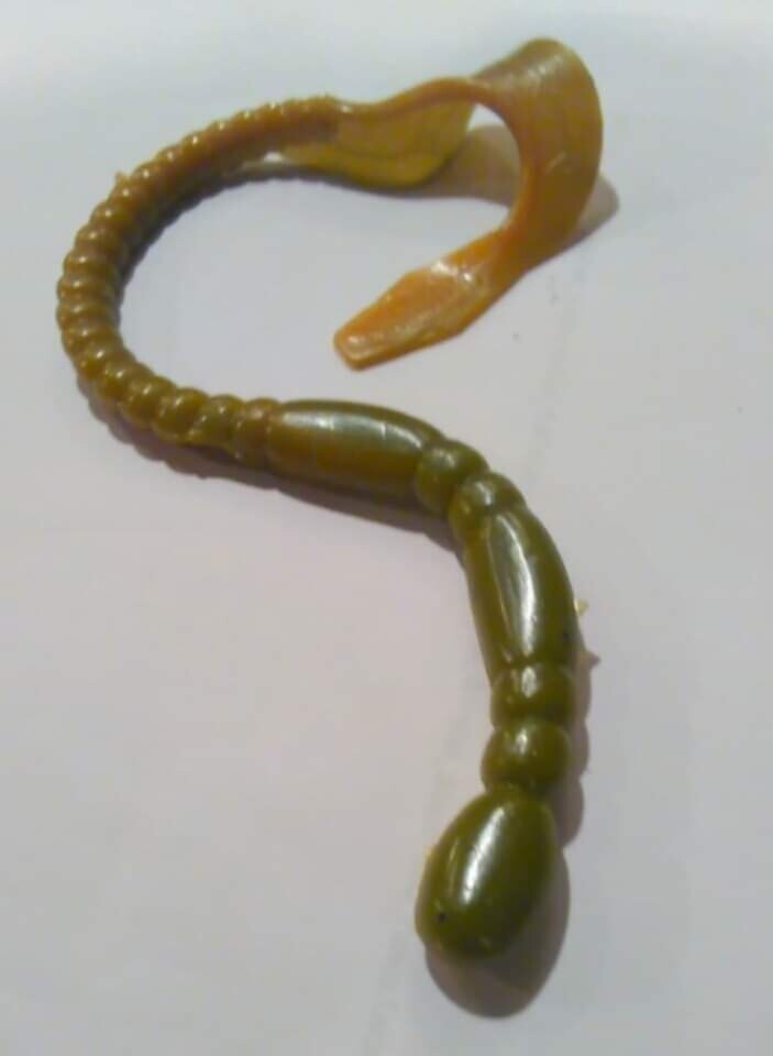4&quot; feisty worm