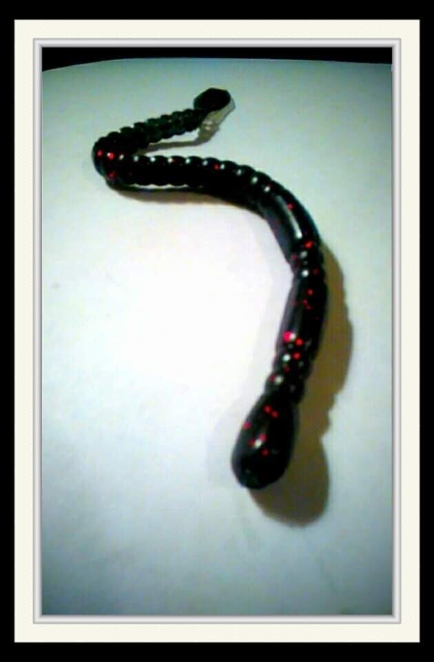 9 1/4&#39;&#39; worm