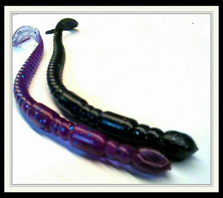 4" feisty worm