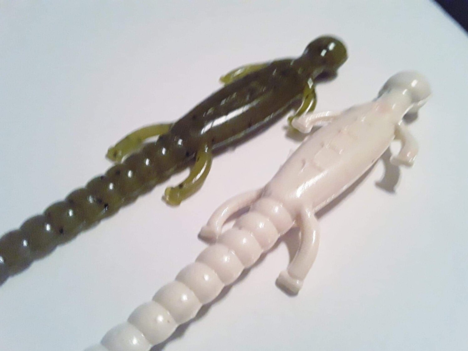 4&#39;&#39; Lizard floating 