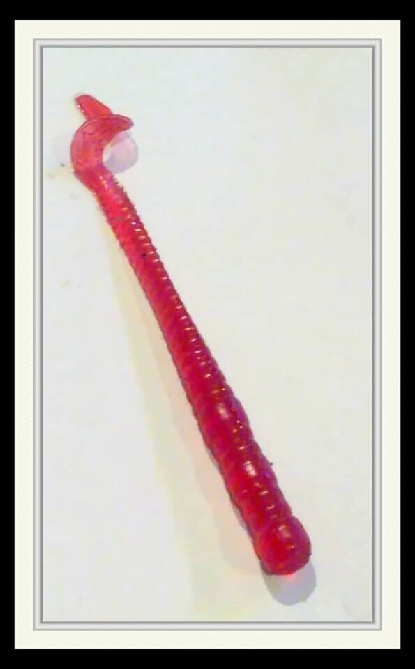 4&quot; feisty worm