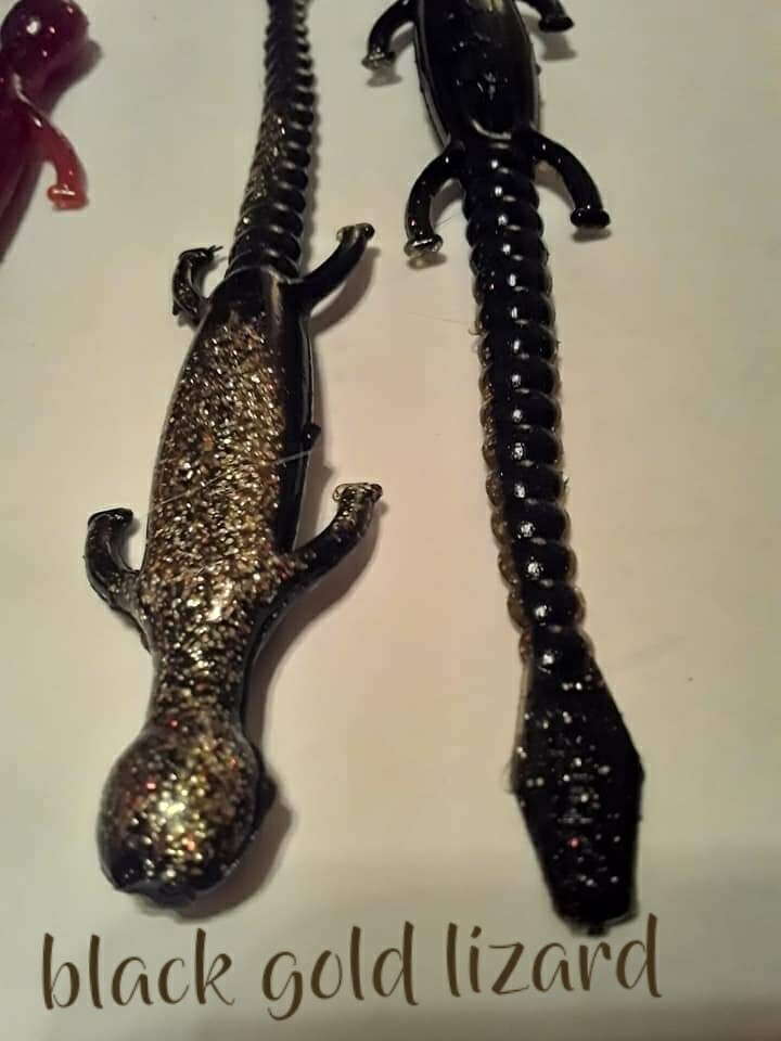 6&quot; lizards