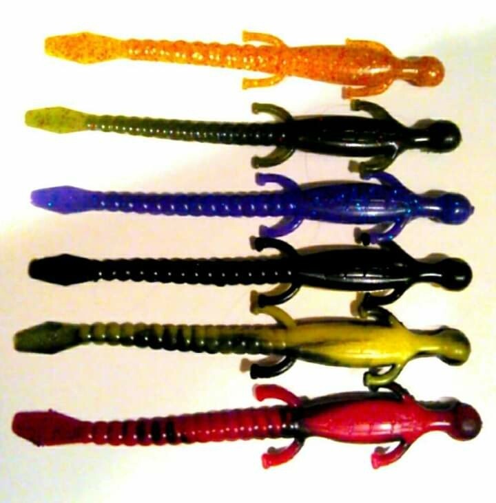 6&quot; lizards