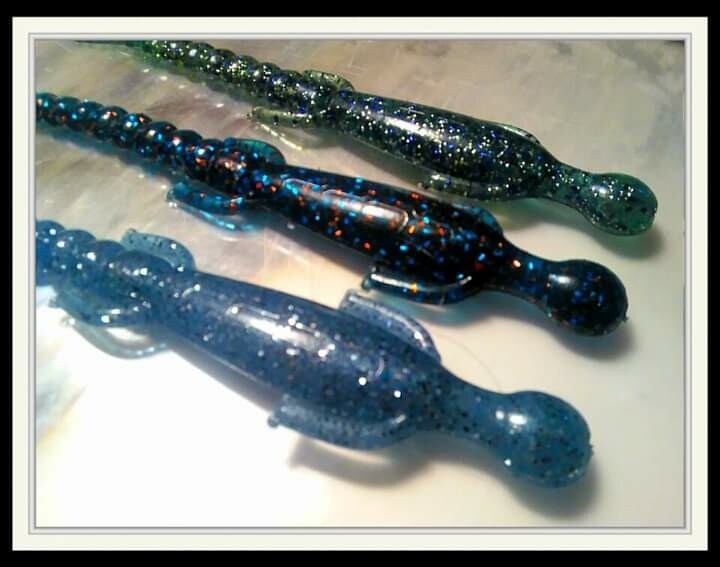 6&quot; lizards