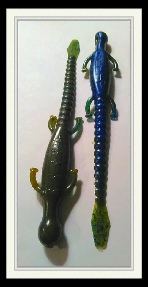 6&quot; lizards