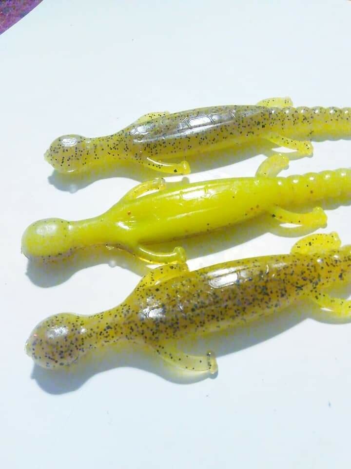 6&quot; lizards