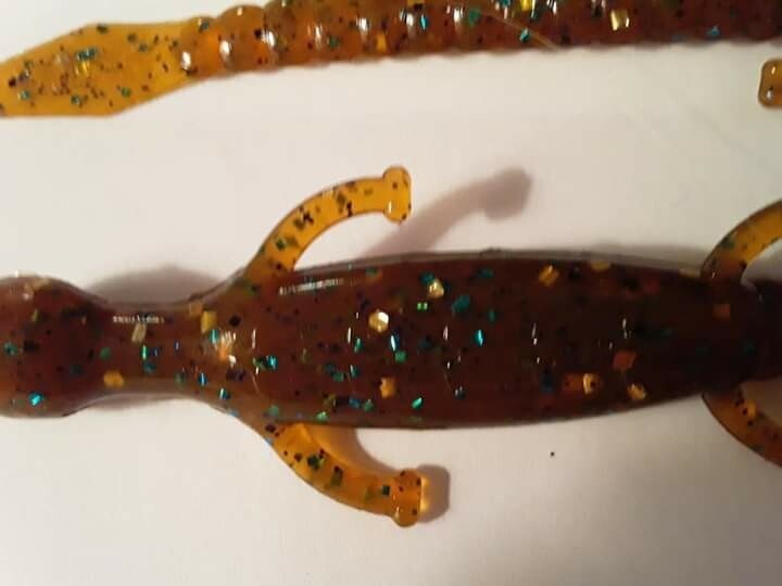 6&quot; lizards