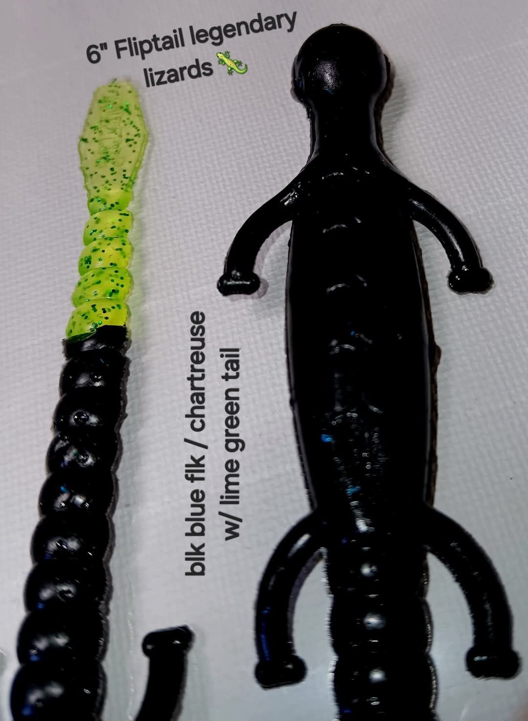 6 &quot; Fliptail lizards
