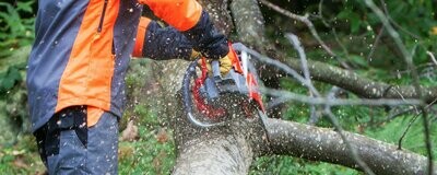 CHAINSAWS & PRUNERS