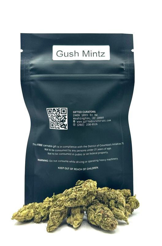 Gush Mintz (Hybrid)