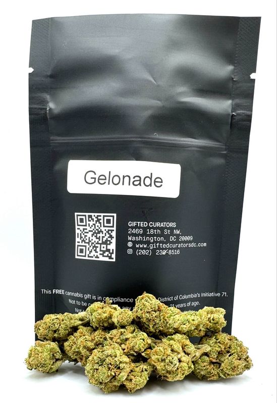Gelonade (Sativa Hybrid)