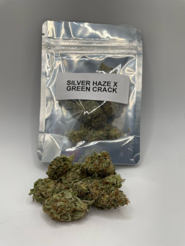 Silver Haze X Green Crack