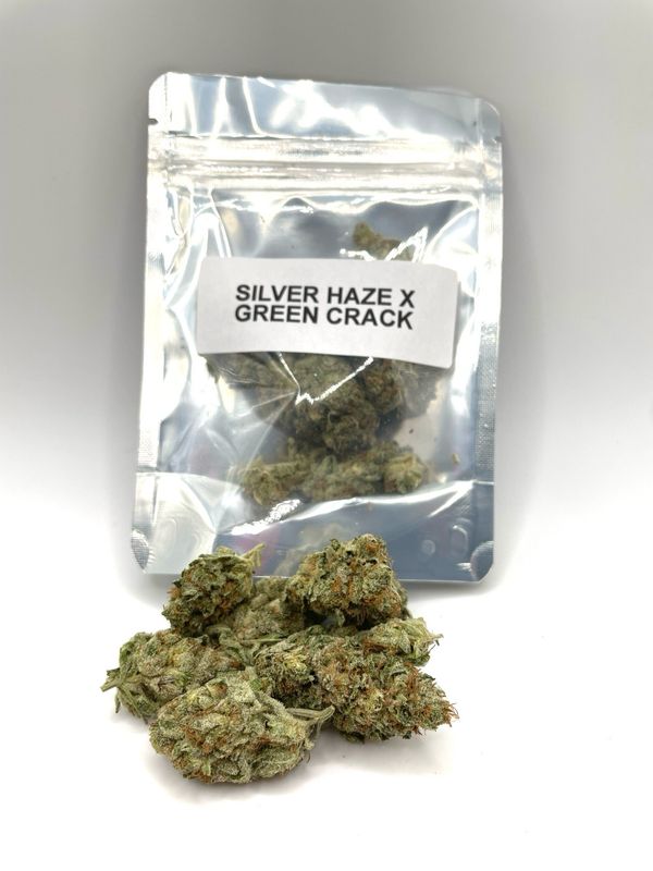Silver Haze X Green Crack