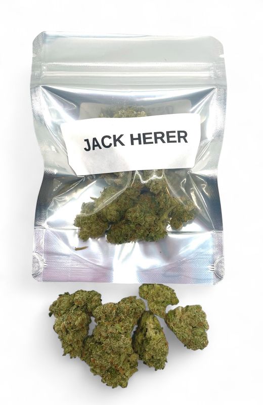 Jack Herer (Sativa Hybrid)