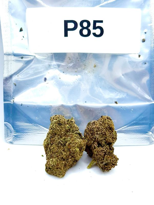 P85 (Indica Hybrid)