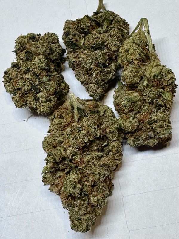 1oz. OG Kush (Hybrid)