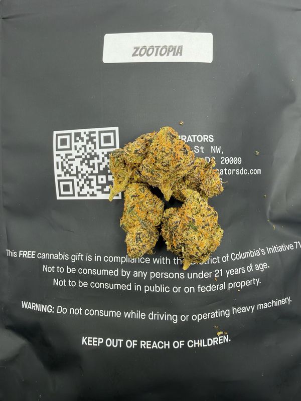 1 OZ Zootopia (Indica Hybrid)
