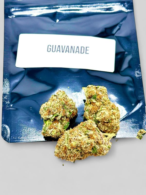 Guavanade (Sativa Hybrid)