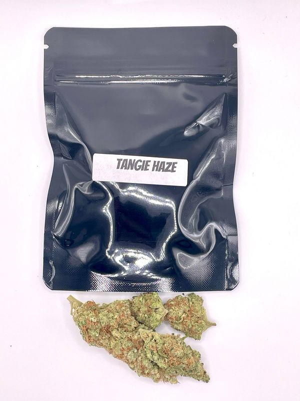 Tangie Haze (Sativa Hybrid)