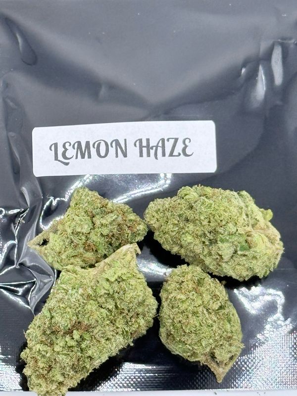 Lemon Haze (Sativa Hybrid)