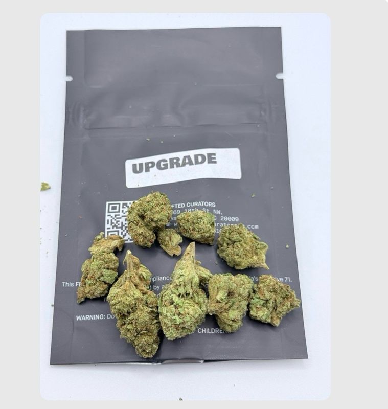 Upgrade (Hybrid)