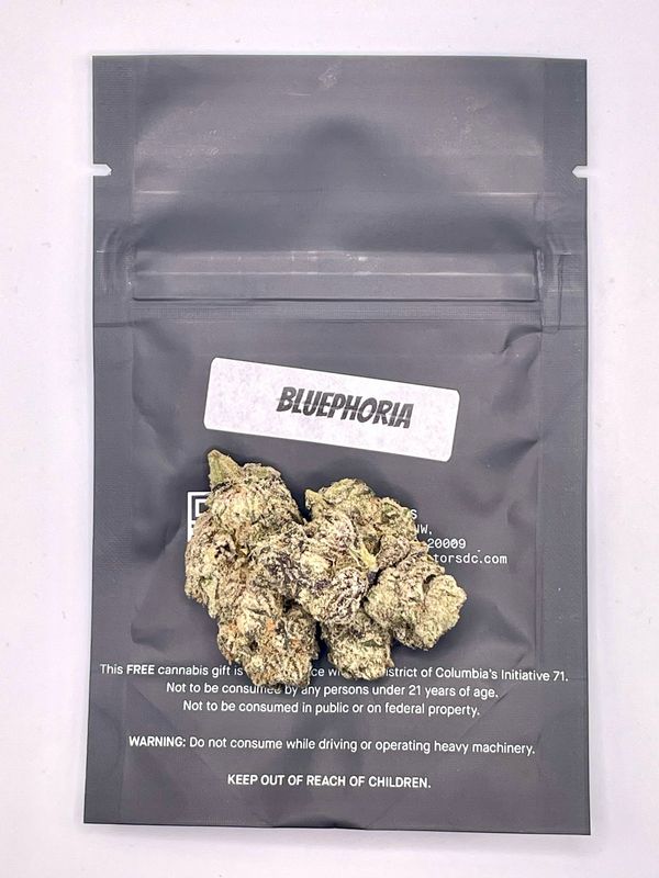 Bluephoria (Hybrid)