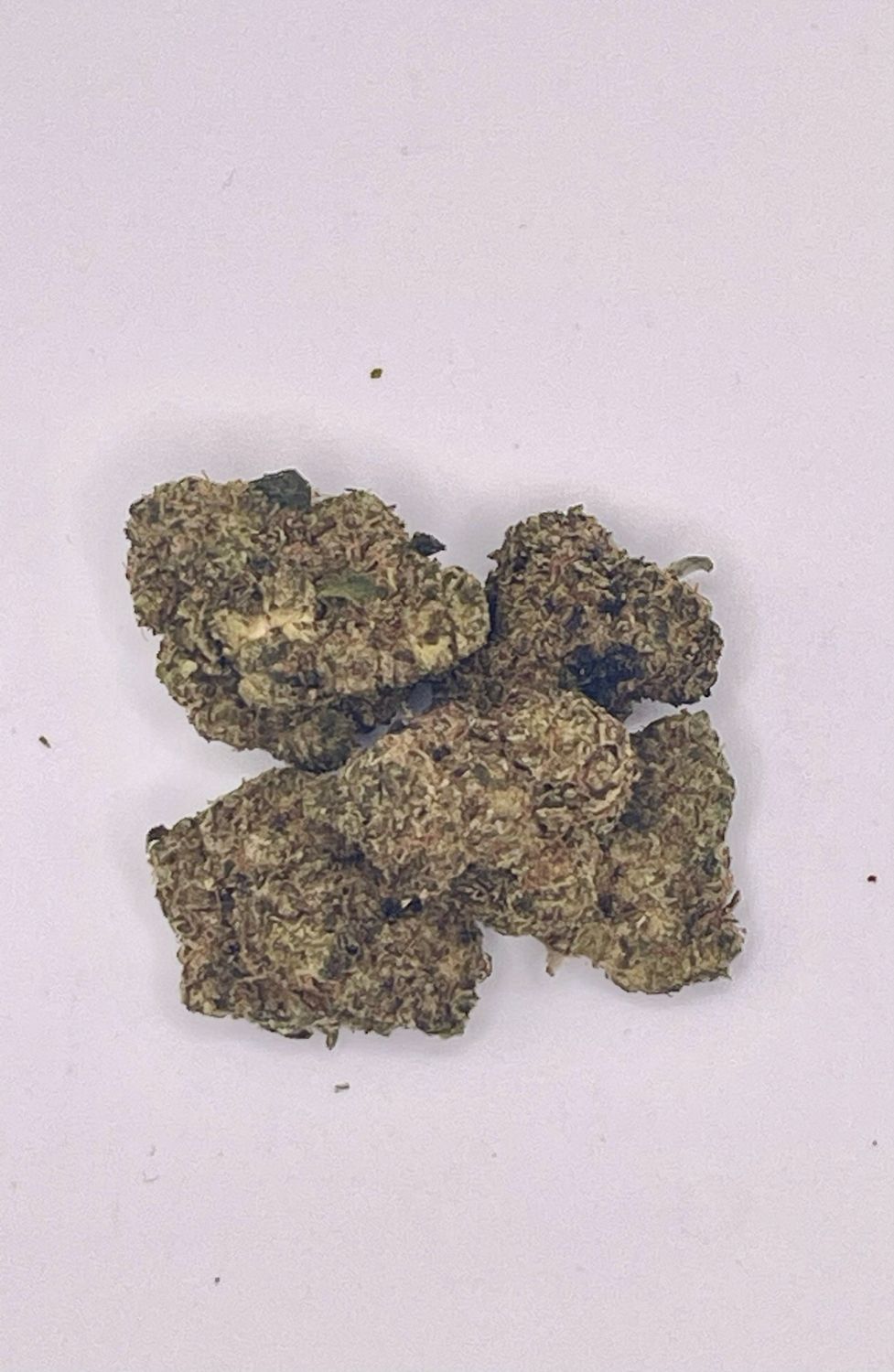 1 OZ Cherry Ztripes (Hybrid)