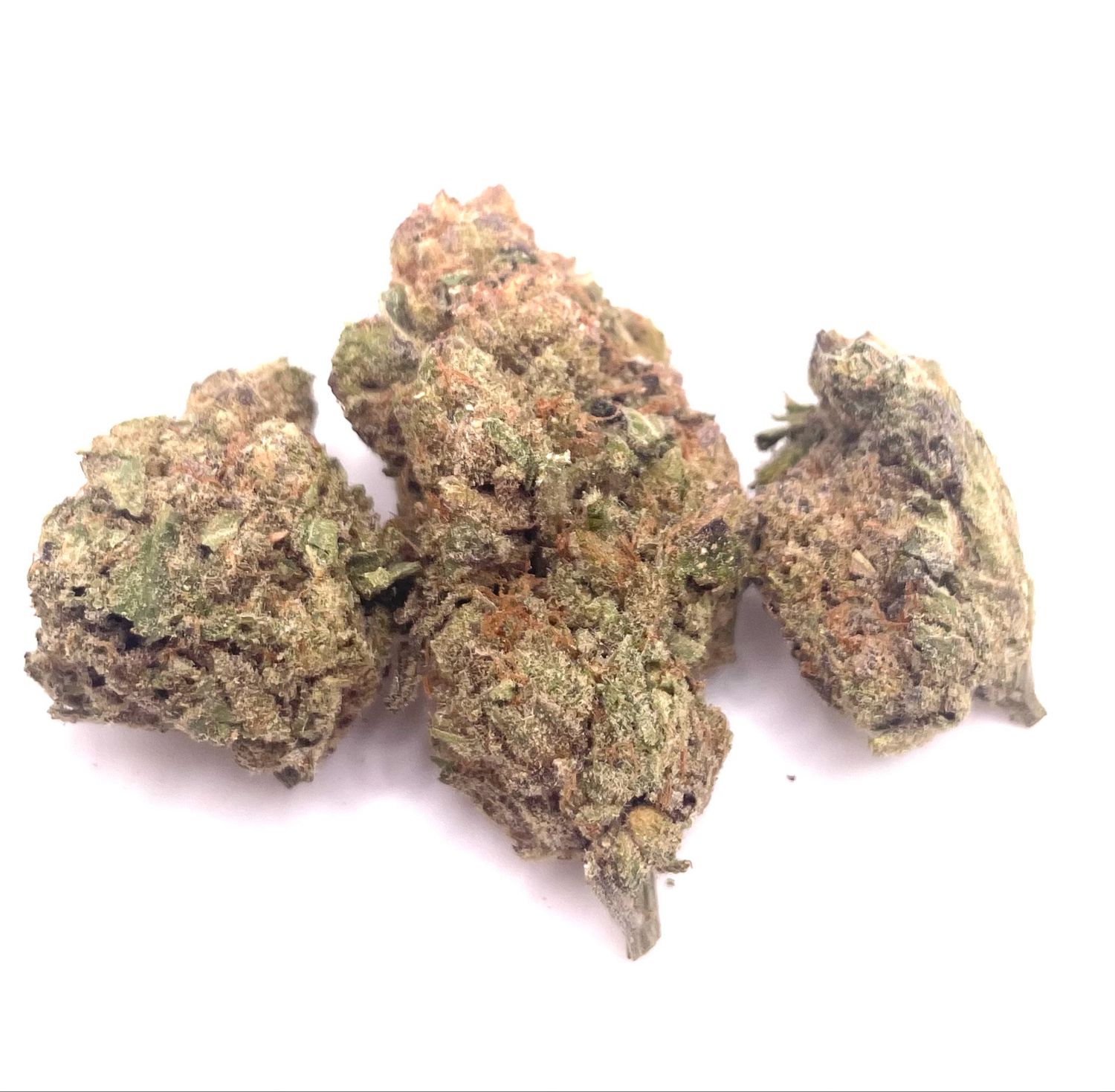 Bolinas (Sativa)