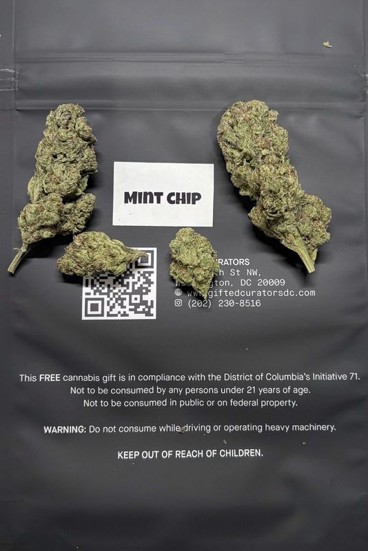 1 OZ Mint Chip (Hybrid)