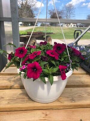 Flowers, veggie plants, herbs