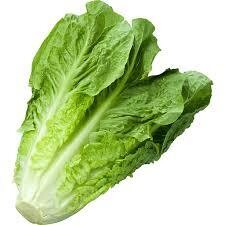 Lettuce - green romaine