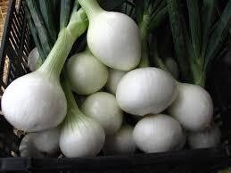 Onions - lg white (Sweet)