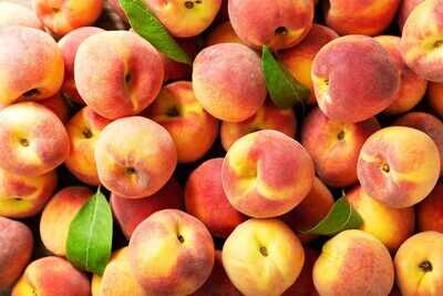 Peaches-  clingstone - QT basket (6)