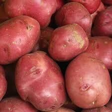 Potatoes - red - qt basket