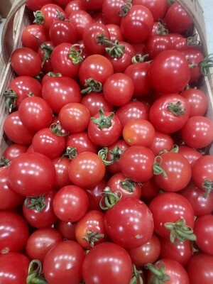 Tomatoe - cherry  - pint basket
