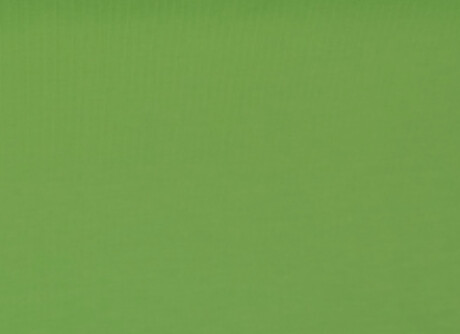 Jersey UNI, Ökotex Farbe Grasgrün