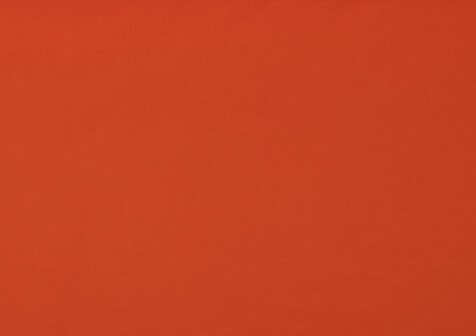 Jersey UNI, Ökotex Farbe Orange