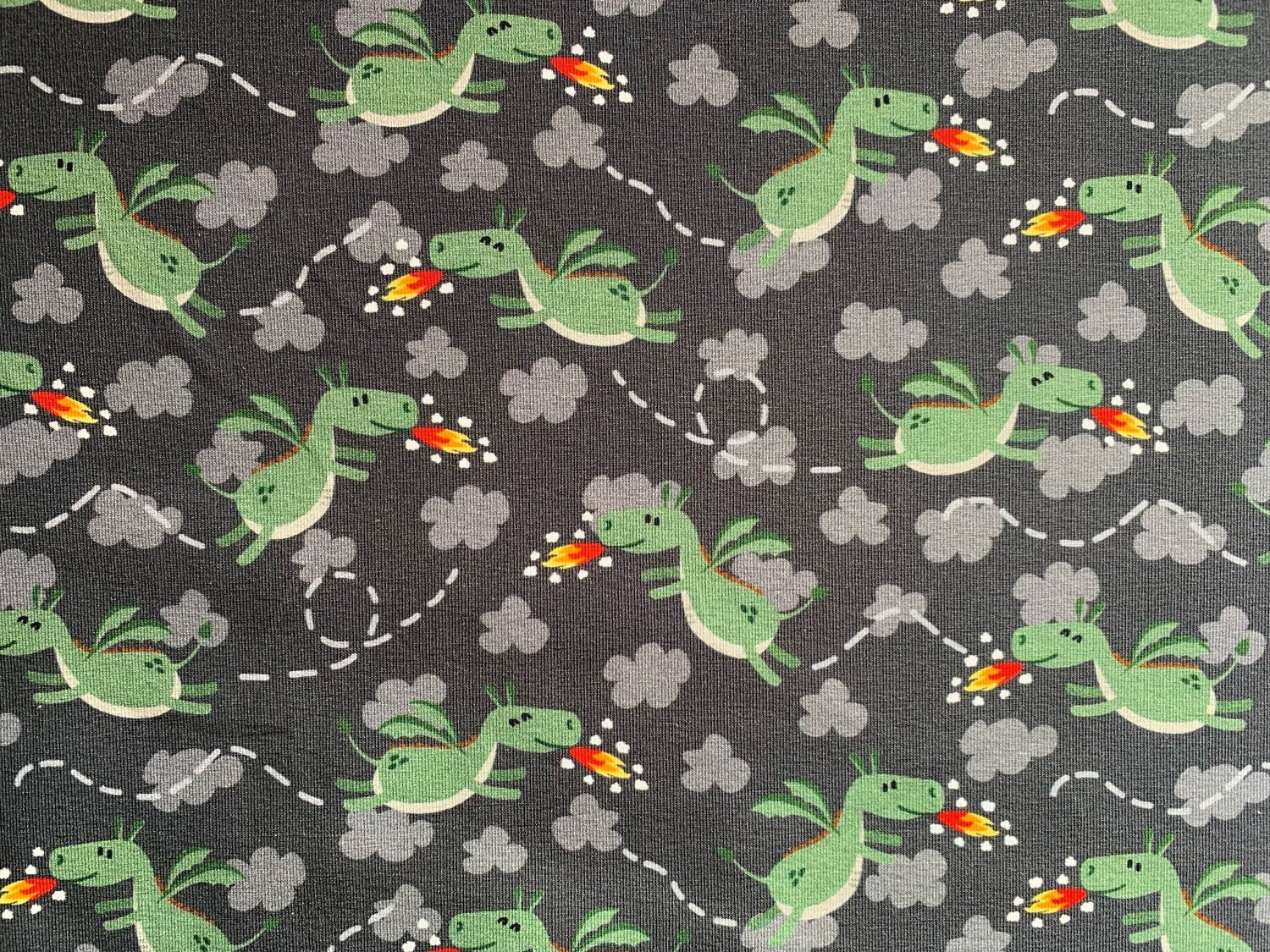 Hilco Dragons & Unicorns Drache Jersey