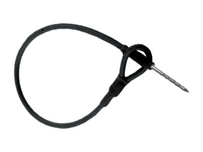 Lanyard  with pin black